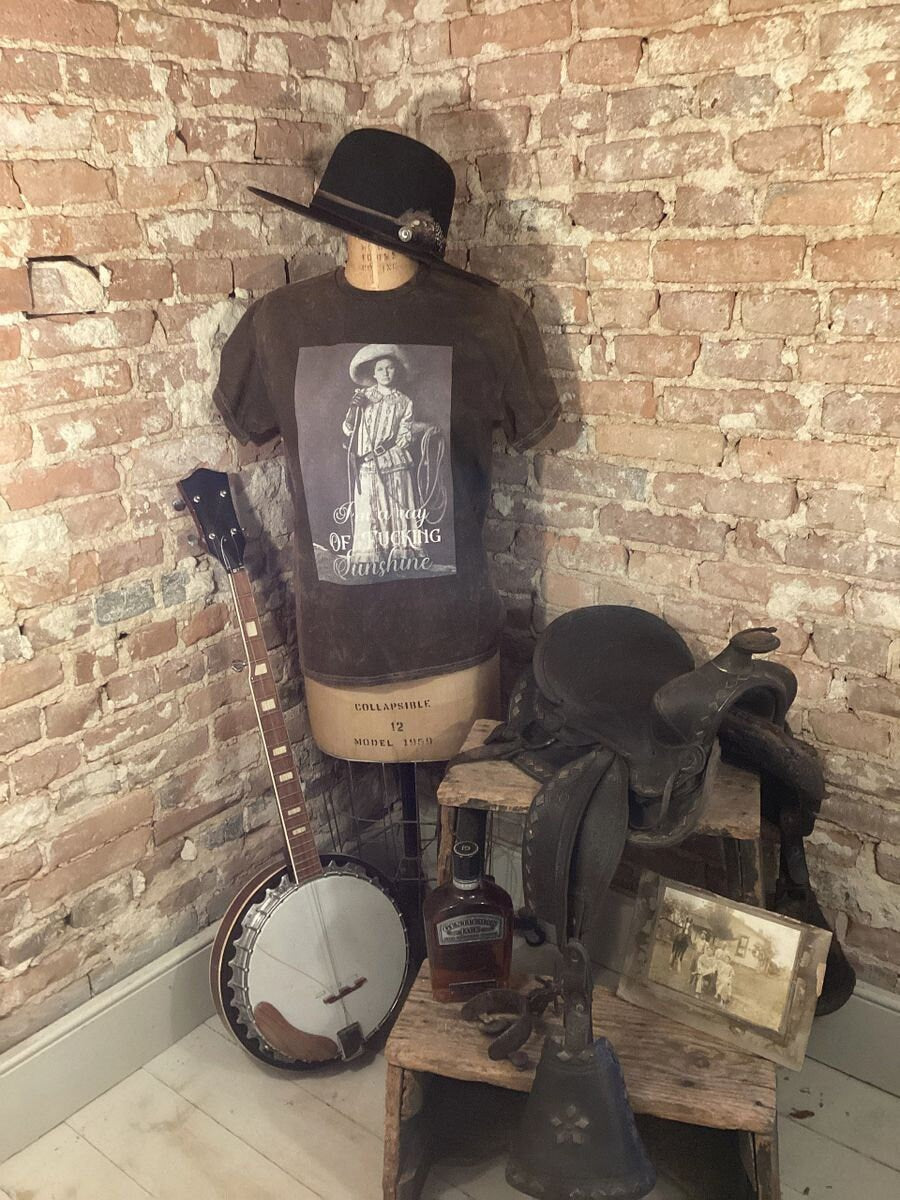 I’m a Ray of Fucking Sunshine /cowgirl shirt/western shirt/horse girl shirt/country shirt/inspirational shirt