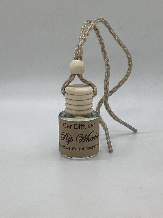 Scented Hanging Car Diffuser/Auto Air Freshener/Hanging Diffuser/Car Accessories/Car Freshener