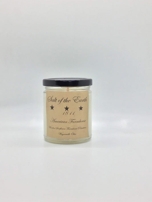 Salt of the Earth Highly Scented Candle/ Jelly Jar 9oz/Paraffin Wax/Farmhouse Candle/Hand poured Candle/ Country-Primitive Candle