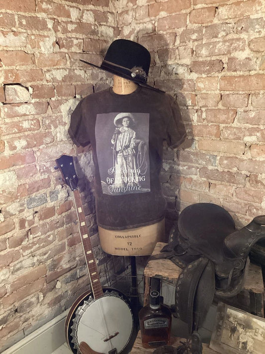 I’m a Ray of Fucking Sunshine /cowgirl shirt/western shirt/horse girl shirt/country shirt/inspirational shirt